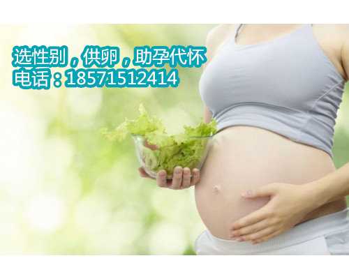 温州提供代怀孕,降低高脂肪食物摄入