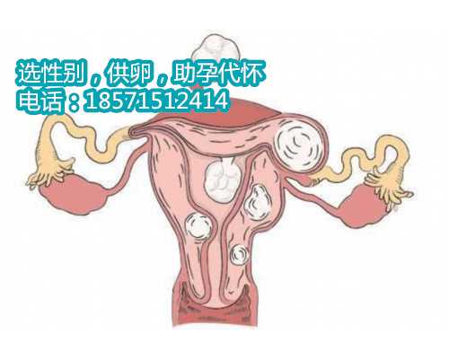 试管婴儿几周容易胎停：揭示温州找供卵试管女人健康发展的关键