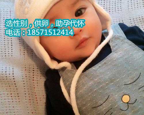温州找女孩代孕,广东省最新休假标准是什么