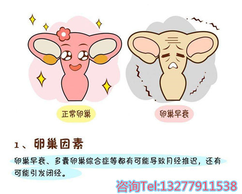 温州找过代孕吗,香港抽血查男孩女孩准吗