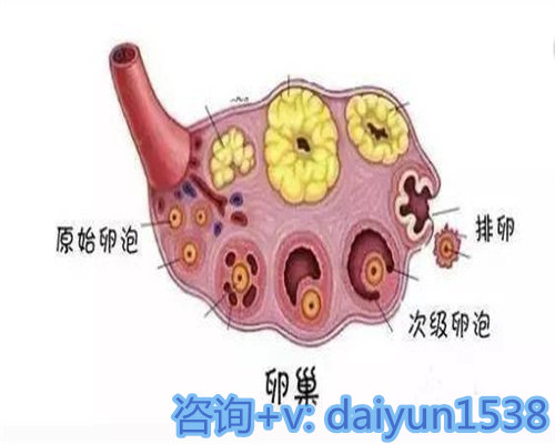 内膜薄不来月经严重吗