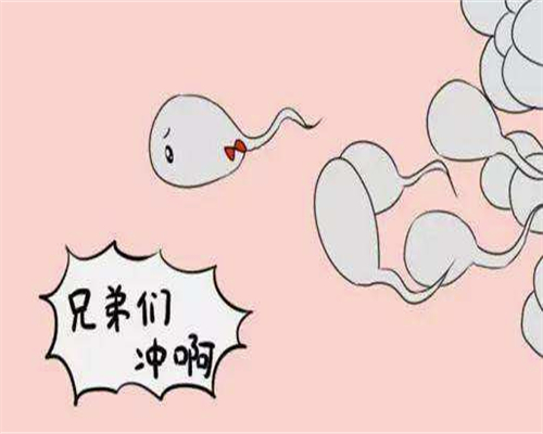 温州找代孕价格表,1试管移植后吃什么合适