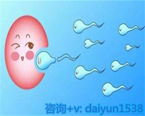 男人温州供精试管二代多少钱期能喝咖啡吗